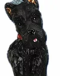 Old World Christmas Scottish Terrier Ornament
