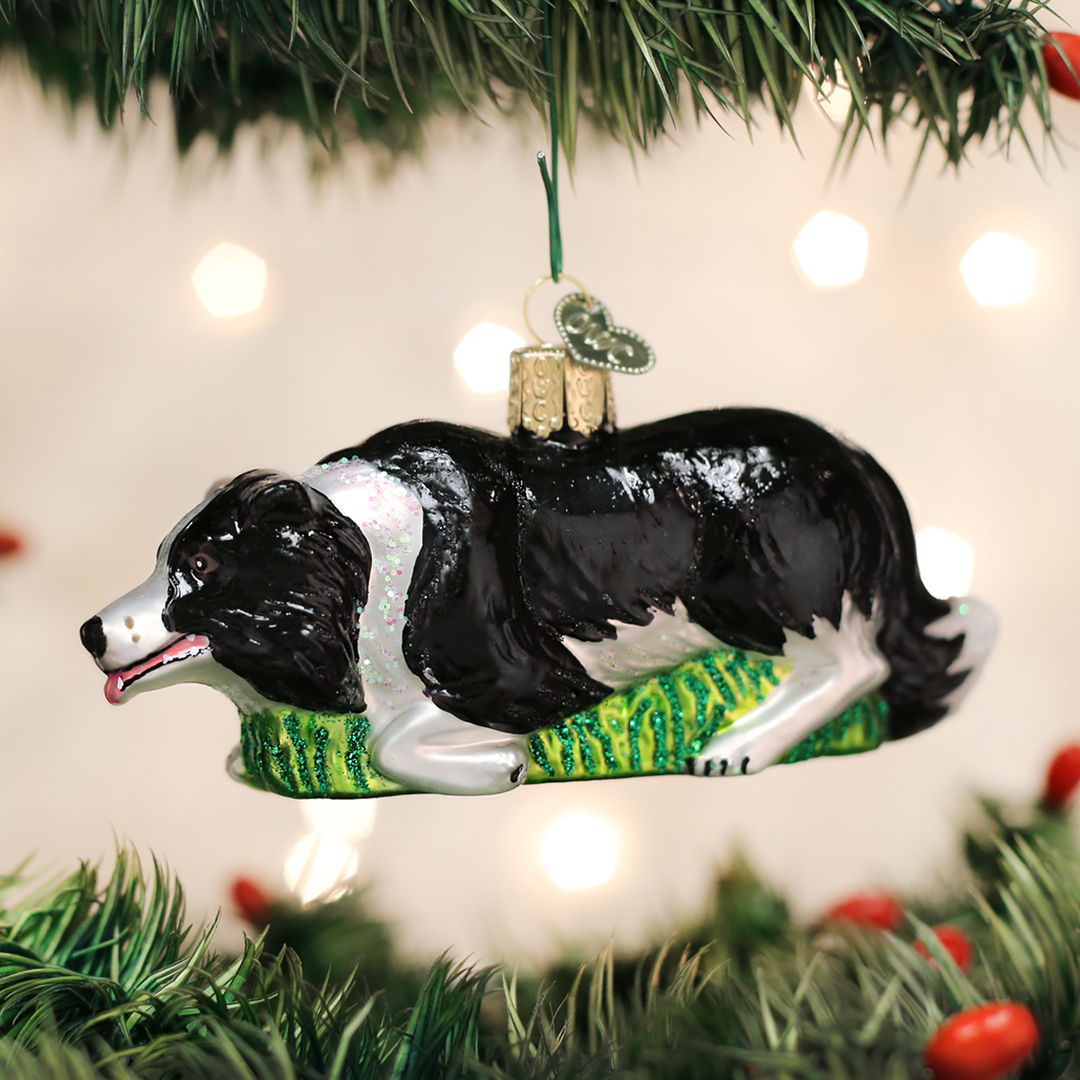 Old World Christmas Herding Border Collie Ornament 3 Old World Christmas Herding Border Collie Ornament