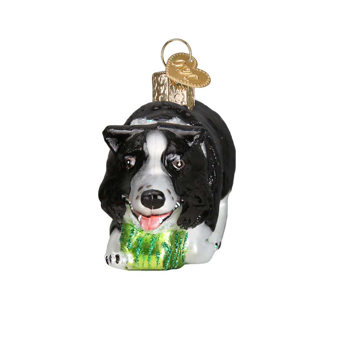Old World Christmas Herding Border Collie Ornament 4 Old World Christmas Herding Border Collie Ornament