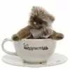 Charlie Bears Cappuccino Teddy Bear Cup And Saucer Gift Set 1 Charlie Bears Cappuccino Teddy Bear Cup And Saucer Gift Set