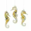 TheHolidayBarn.com Christmas Art Glass Seahorse Ornaments