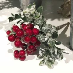 Winward Iced Berry Pick