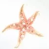 Katherine's Collection New! Jeweled Starfish Ornament, Large