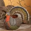 Bethany Lowe Johanna Parker Festive Turkey Container