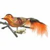 Old German Christmas Orange & Brown Bird With Feathers Ornament Clip 2 Old German Christmas Orange & Brown Bird With Feathers Ornament Clip