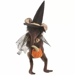 Joe Spencer Persius The Shrew