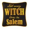 TheHolidayBarn.com New! Salem Witch Pillow