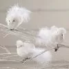 Bethany Lowe Winter Snow Bird Clip Ornaments