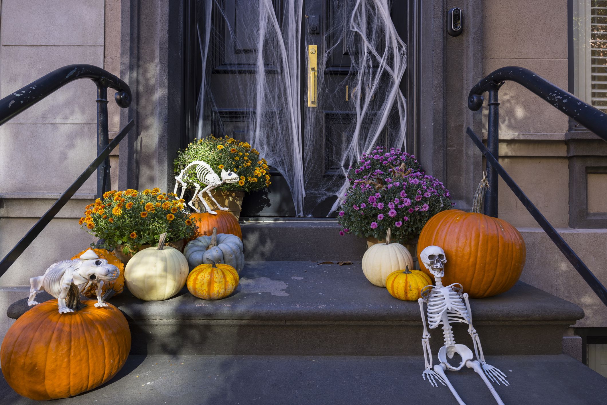 TheHolidayBarn Halloween????‍♀️Sales Shop -TheHolidayBarn Halloween????‍♀️Sales Shop annual halloween decorations are decorated in upper royalty free image 1690849690